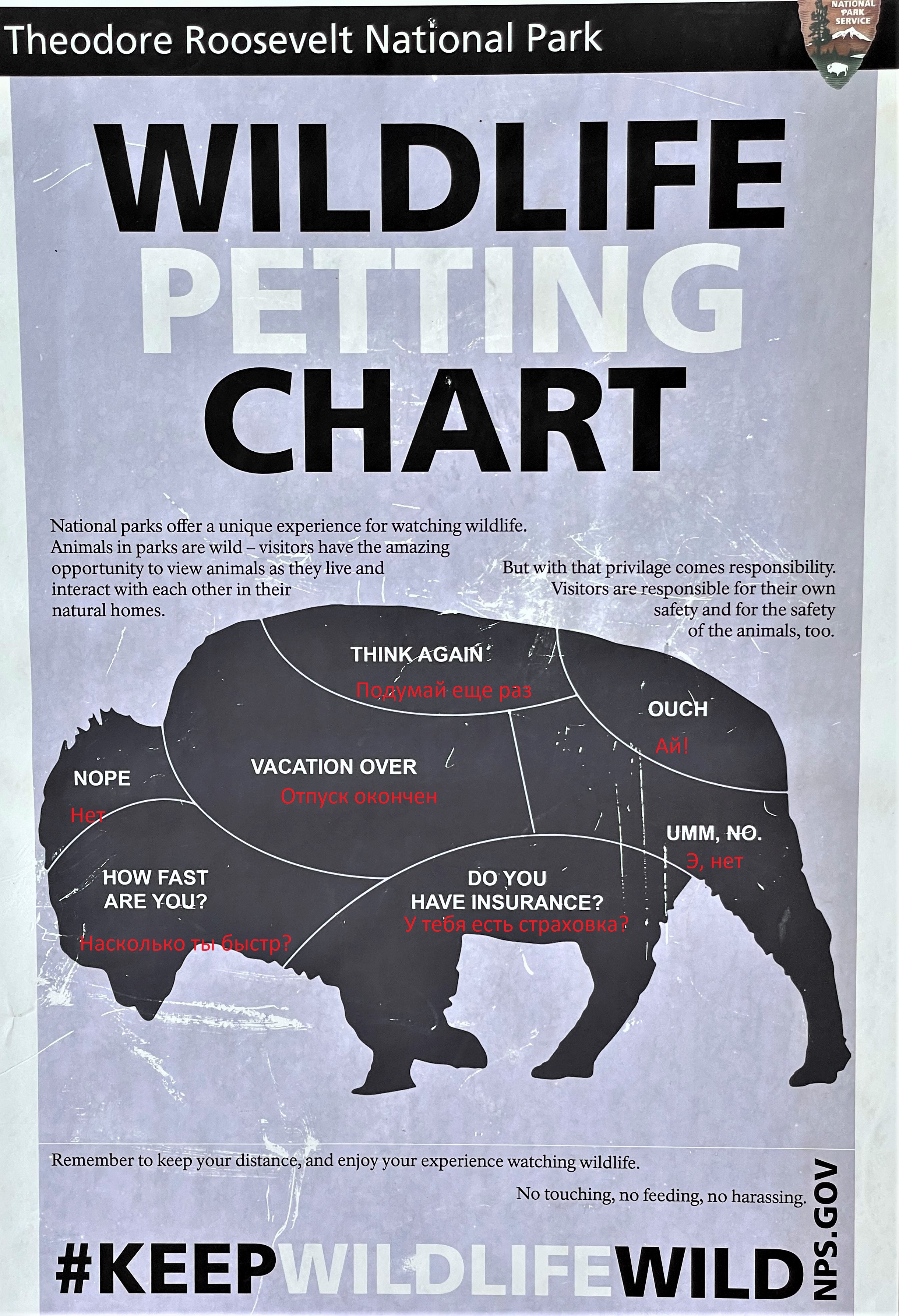 Theodore Roosevelt NP